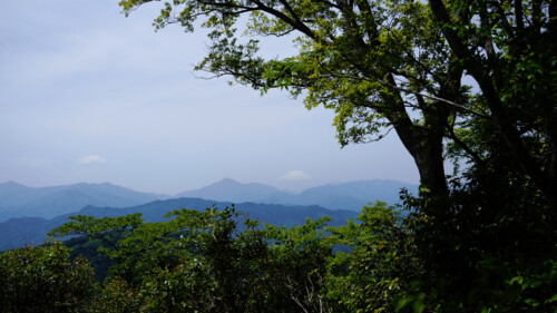 高尾山の風景写真