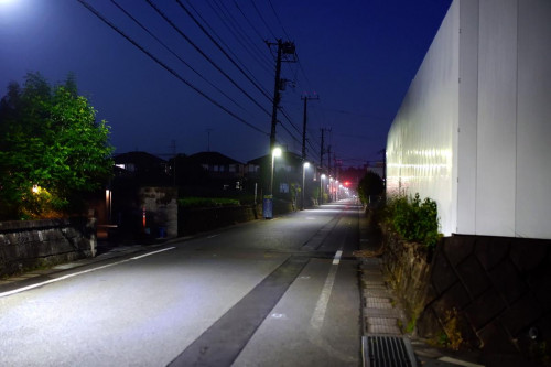 初冬の早朝　スナップ写真1