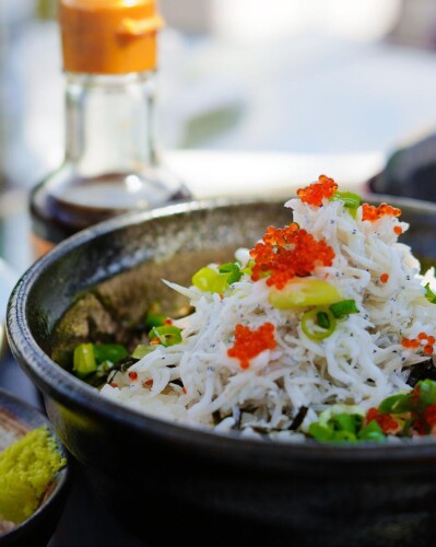 しらす丼の撮影　